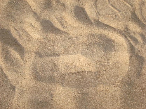 Giraffe spoor.jpg